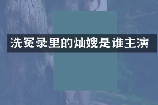 洗冤录里的灿嫂是谁主演
