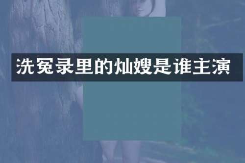 洗冤录里的灿嫂是谁主演