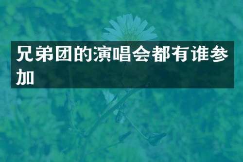 兄弟团的演唱会都有谁参加