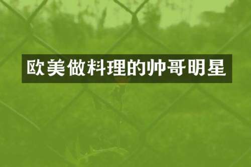 欧美做料理的帅哥明星