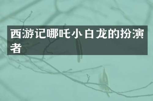 西游记哪吒小白龙的扮演者