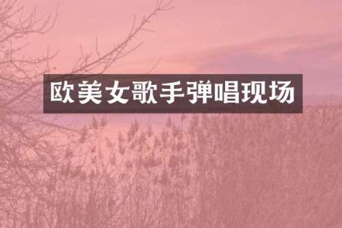 欧歌手弹唱现场