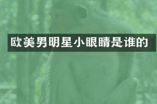 欧美男明星小眼睛是谁的