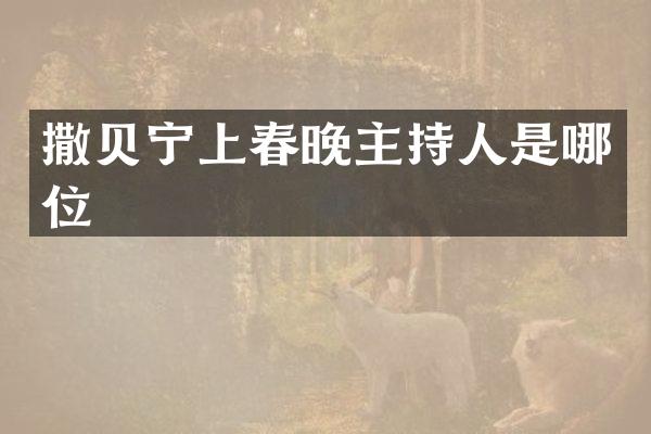 撒贝宁上主持人是哪位