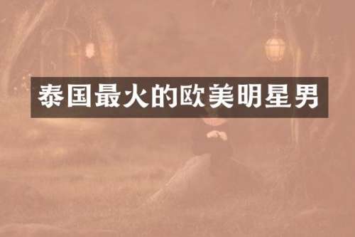 泰国最火的欧美明星男