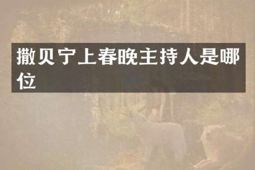 撒贝宁上主持人是哪位