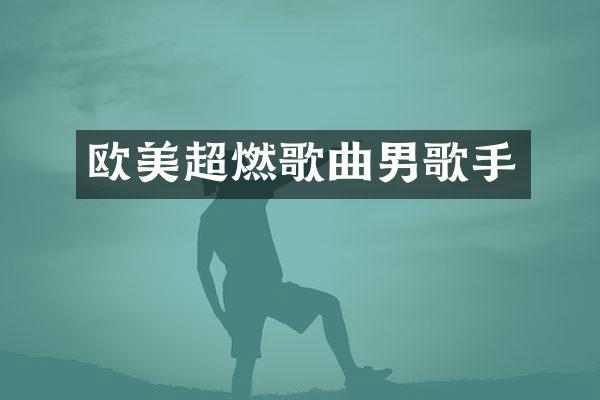 欧美超燃歌曲男歌手
