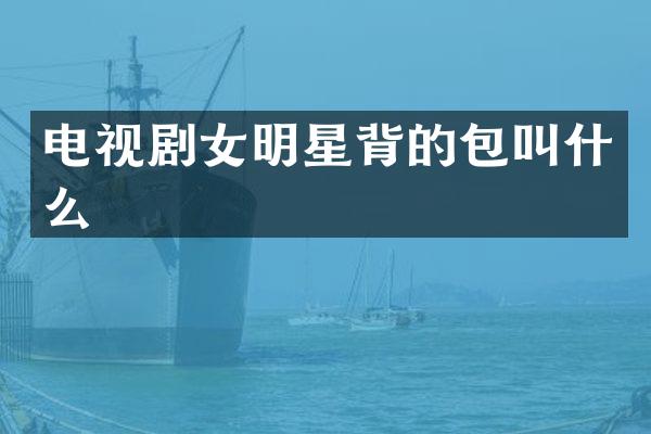 电视剧女明星背的包叫什么