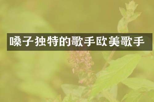 嗓子独特的歌手欧美歌手