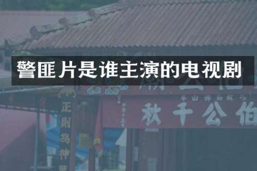 警匪片是谁主演的电视剧