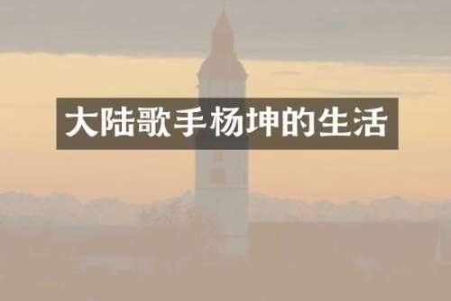 大陆歌手杨坤的生活