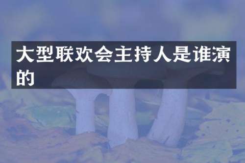 大型联欢会主持人是谁演的
