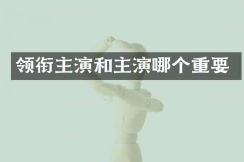 领衔主演和主演哪个重要
