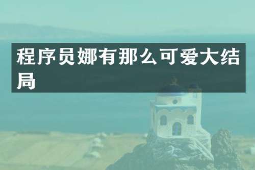 程序员娜有那么可爱大结局