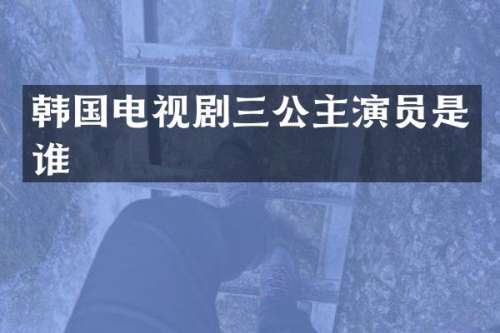 韩国电视剧三公主演员是谁