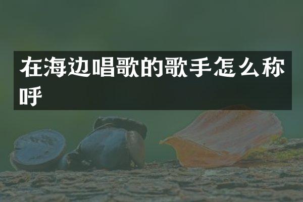 在海边唱歌的歌手怎么称呼