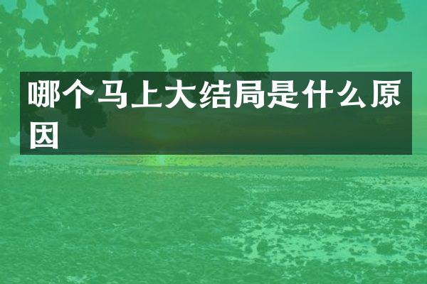 哪个马上大结局是什么原因