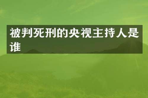 被判死刑的央视主持人是谁
