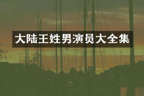 大陆王姓男演员大全集