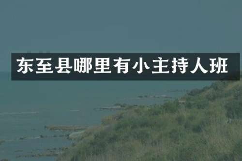 东至县哪里有小主持人班