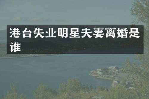 港台失业明星夫妻离婚是谁