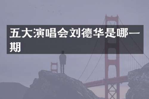 五大演唱会刘德华是哪一期
