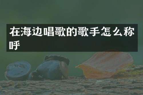 在海边唱歌的歌手怎么称呼