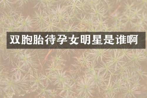 双胞胎待孕女明星是谁啊