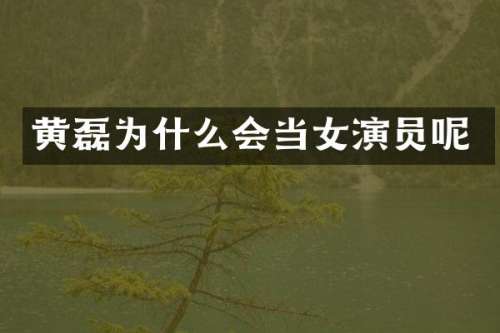 黄磊为什么会当女演员呢