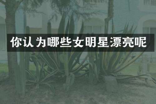 你认为哪些女明星漂亮呢