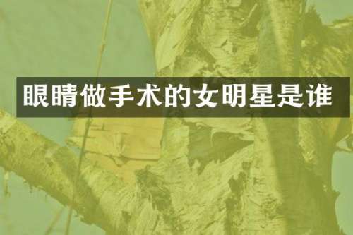 眼睛做手术的女明星是谁