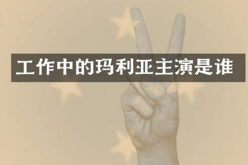 工作中的玛利亚主演是谁