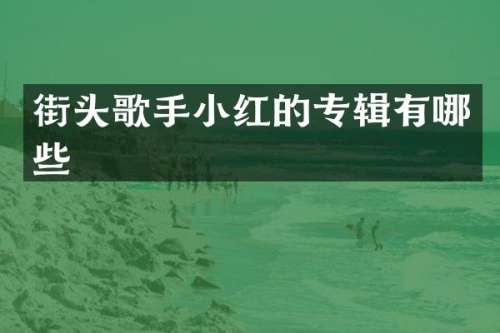 街头歌手小红的专辑有哪些