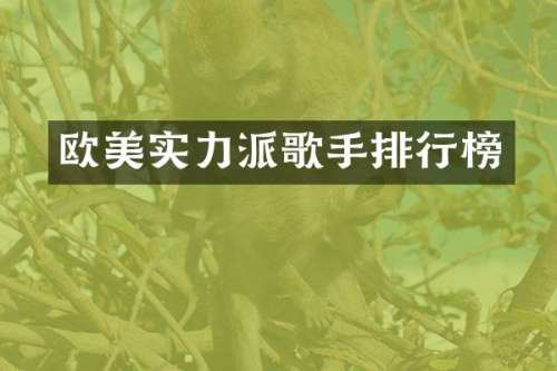 欧美实力派歌手排行榜