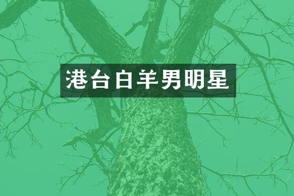 港台白羊男明星
