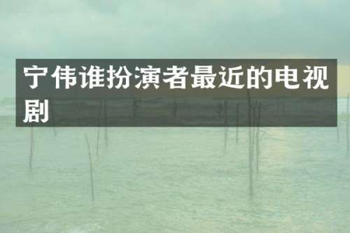 宁伟谁扮演者最近的电视剧