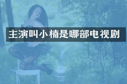 主演叫小楠是哪部电视剧