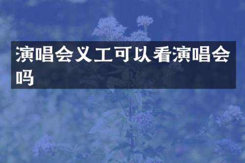演唱会义工可以看演唱会吗