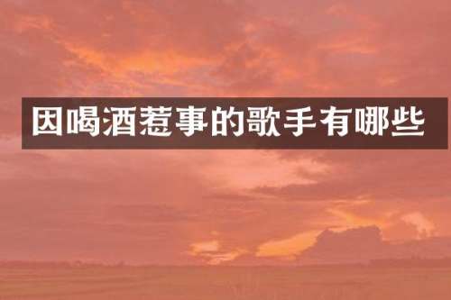 因喝酒惹事的歌手有哪些