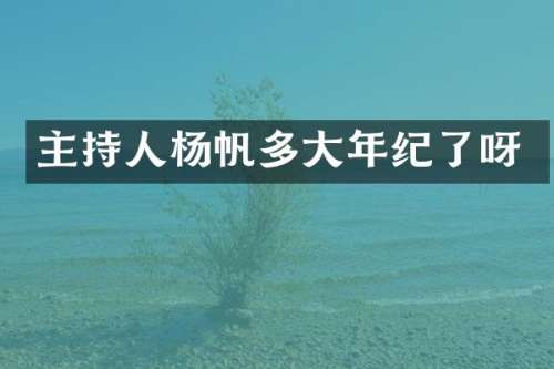 主持人杨帆多大年纪了呀