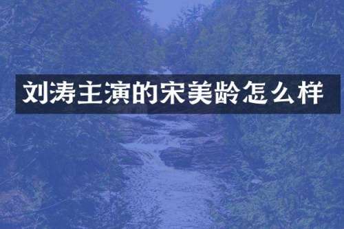 刘涛主演的宋美龄怎么样
