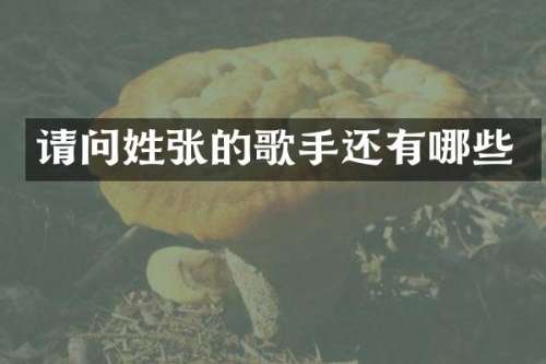 请问姓张的歌手还有哪些