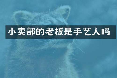 小卖部的老板是手艺人吗