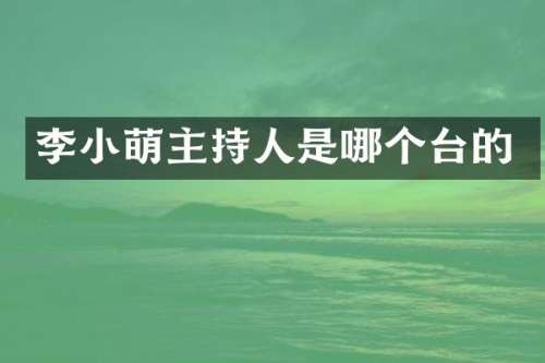 李小萌主持人是哪个台的