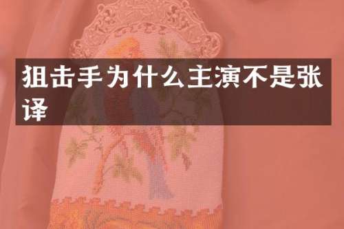 狙击手为什么主演不是张译