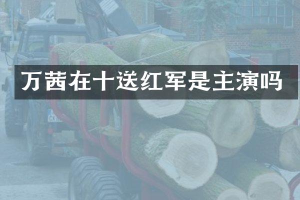 万茜在十送红军是主演吗