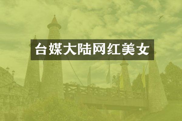 台媒大陆网红