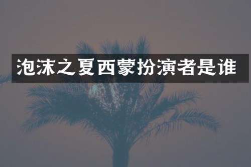 泡沫之夏西蒙扮演者是谁