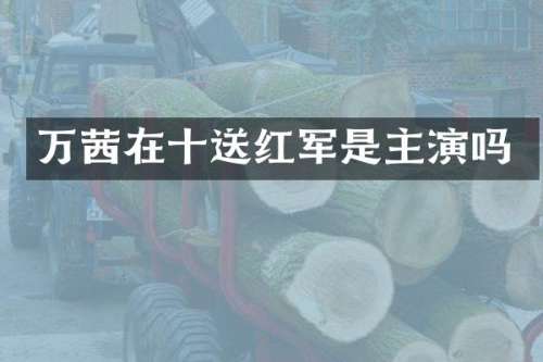 万茜在十送红军是主演吗