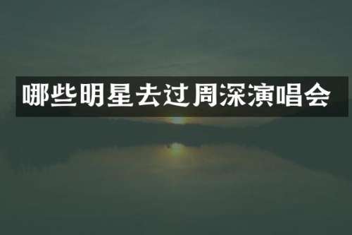 哪些明星去过演唱会